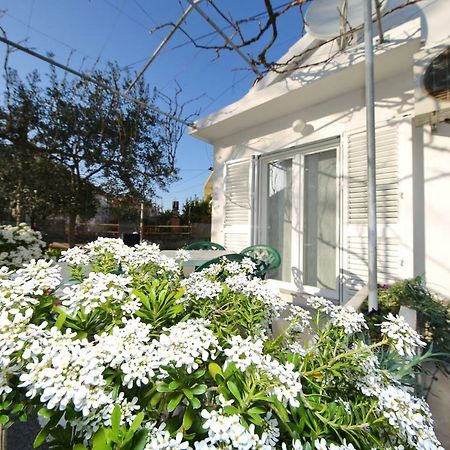 Apartman Antonio Zadar Bagian luar foto